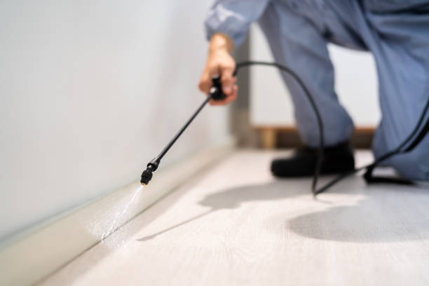 Licensed Termite Control service in Oberlin, OH - Nex Pest Control
