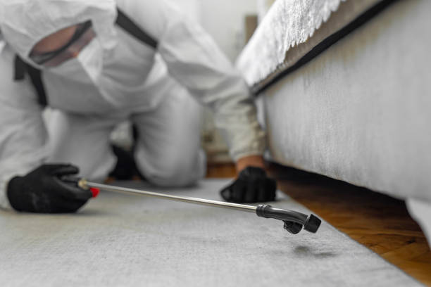 Professional Termite Control technician working in Oberlin, OH