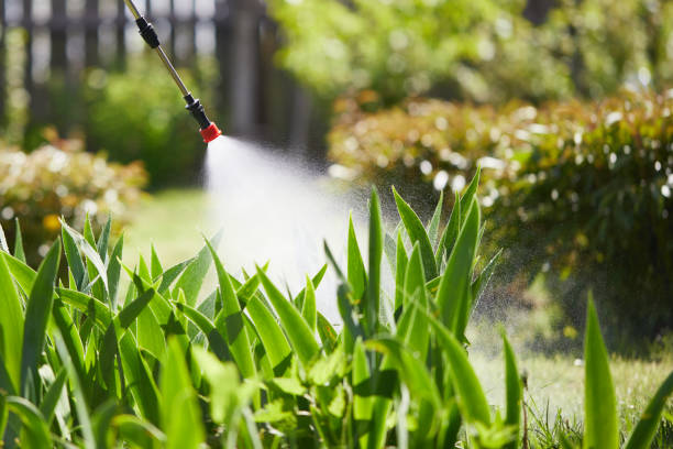 24/7 Emergency Termite Control experts in Oberlin, OH