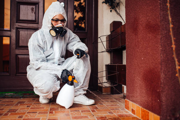 Reliable Termite Control contractor in Oberlin, OH by Nex Pest Control