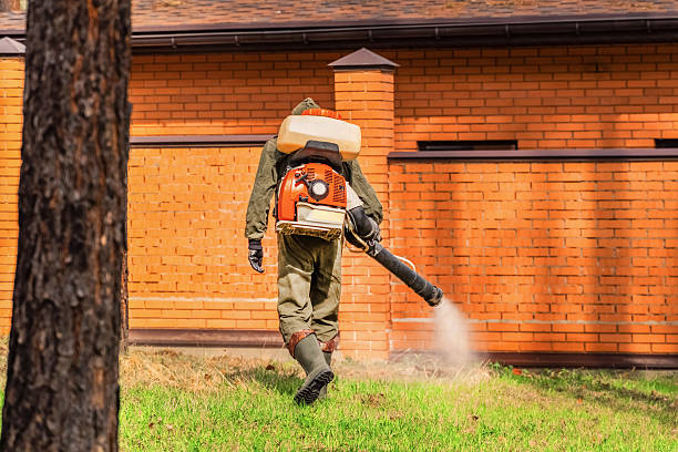 Trusted Rodent Control service in Oberlin, OH - Nex Pest Control